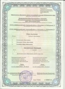 Лицензия